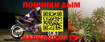 шишки Гай
