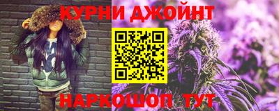 шишки Гай